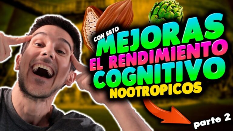 Descubre los nootr&oacute;picos naturales m&aacute;s efectivos para potenciar tu rendimiento