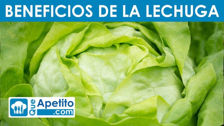 Descubre las sorprendentes propiedades saludables de la lechuga