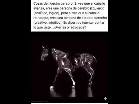 Caballo: &iquest;Hacia delante o hacia atr&aacute;s? Descubre su sorprendente habilidad