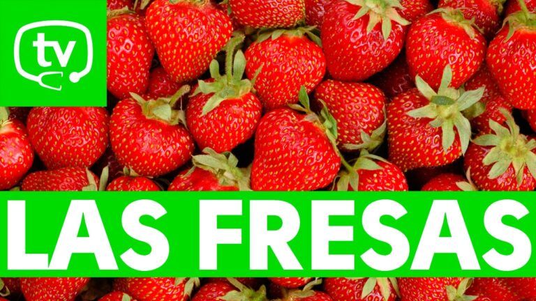 El sorprendente contenido de proteínas en las fresas: ¿cuánta proteína te aportan?