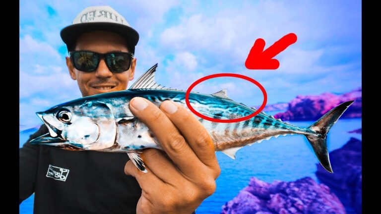 Pescados parecidos al atún: Descubre las alternativas deliciosas