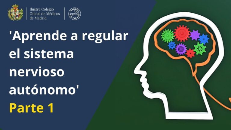 Descubre c&oacute;mo equilibrar tu sistema nervioso simp&aacute;tico y parasimp&aacute;tico para mejorar tu bienestar