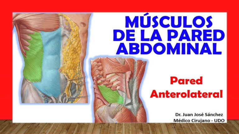 Descubre los secretos del músculo lateral del abdomen ¡Atrévete a fortalecerlo!