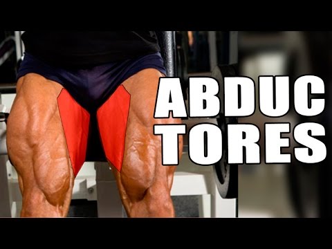 Rutina de ejercicios abductores con peso: tonifica y define tus piernas