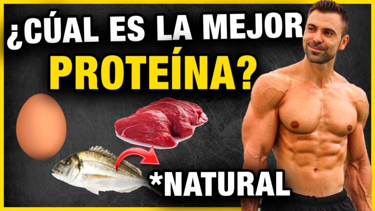 La mejor prote&iacute;na para crecer m&uacute;sculo: descubre la clave del &eacute;xito
