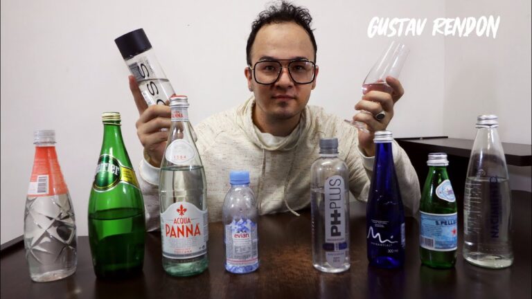 Descubre las mejores aguas con gas natural para una experiencia refrescante