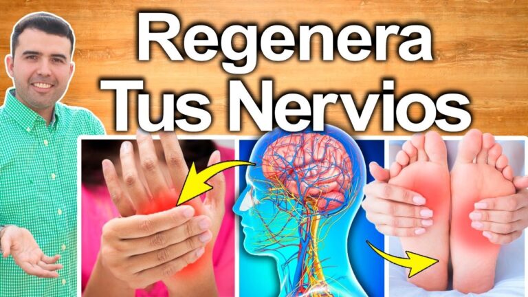 Nuevos suplementos revitalizantes para regenerar nervios da&ntilde;ados