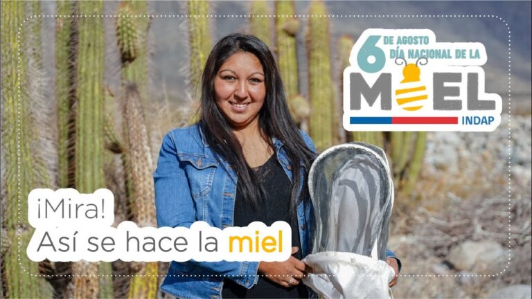 Descubre las sorprendentes calor&iacute;as de la miel de flores