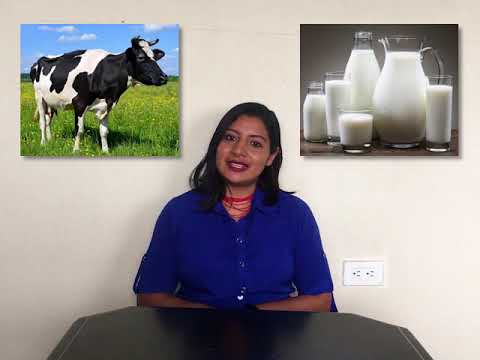 Descubre las infinitas propiedades de las familias de palabras de leche