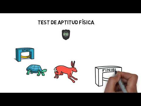 Descubre qu&eacute; es la condici&oacute;n f&iacute;sica: clave para un estilo de vida saludable.