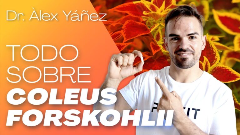Descubre los beneficios del Coleus Forskohlii, ¿Para qué sirve?