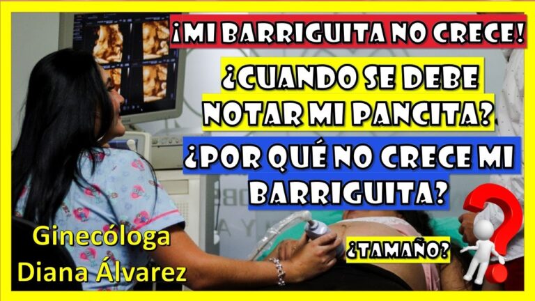 Descubre cómo mantener una barriga pequeña a los 8 meses de embarazo