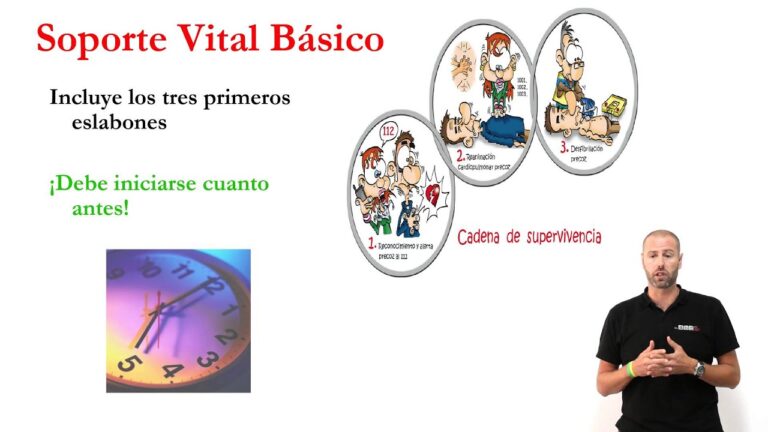 Descubre la clave de la vida con la cadena de supervivencia