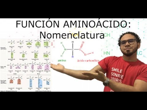 Fórmula química de los aminoácidos esenciales: descubre su importancia