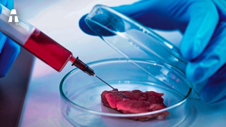 Carne sint&eacute;tica: la respuesta a la escasez y los desaf&iacute;os de la industria c&aacute;rnica