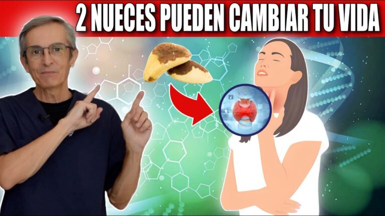Nueces de Brasil: el superalimento contra el hipotiroidismo