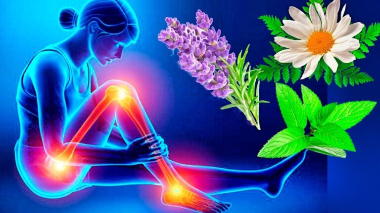 Descubre qu&eacute; es bueno para el dolor de pierna y alivia tu malestar