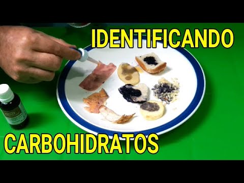 El jamón: descubre si es proteína o carbohidrato en nuestra guía