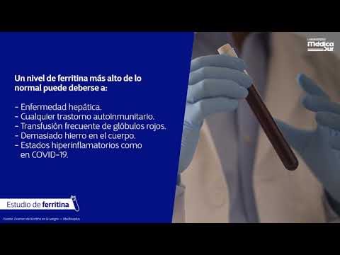 Descubre c&oacute;mo aumentar la ferritina en suero y mejorar tu salud