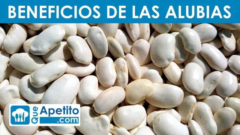 Jud&iacute;as blancas: la elecci&oacute;n perfecta para una dieta rica en prote&iacute;nas sin renunciar a los hidratos