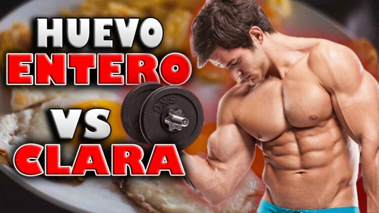 Descubre la sorprendente cantidad de proteínas de un huevo, ¡un aliado poderoso para tu salud!